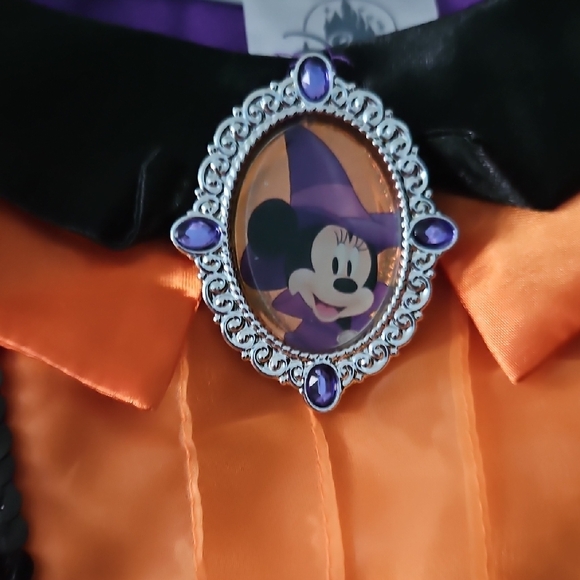 Purple and Orange Halloween Costume Dress with Princess Silhouette With WitchHat - Picture 4 of 8